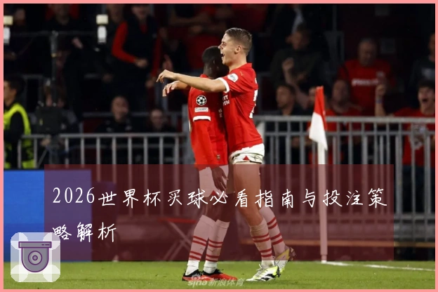 2026世界杯买球必看指南与投注策略解析