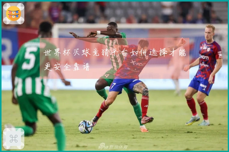 世界杯买球竞猜平台如何选择才能更安全靠谱