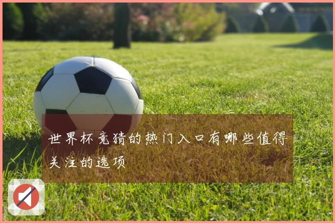 世界杯竞猜的热门入口有哪些值得关注的选项