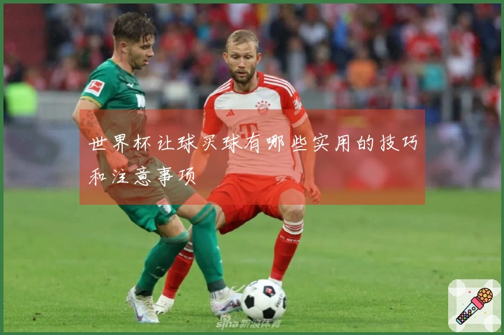 世界杯让球买球有哪些实用的技巧和注意事项
