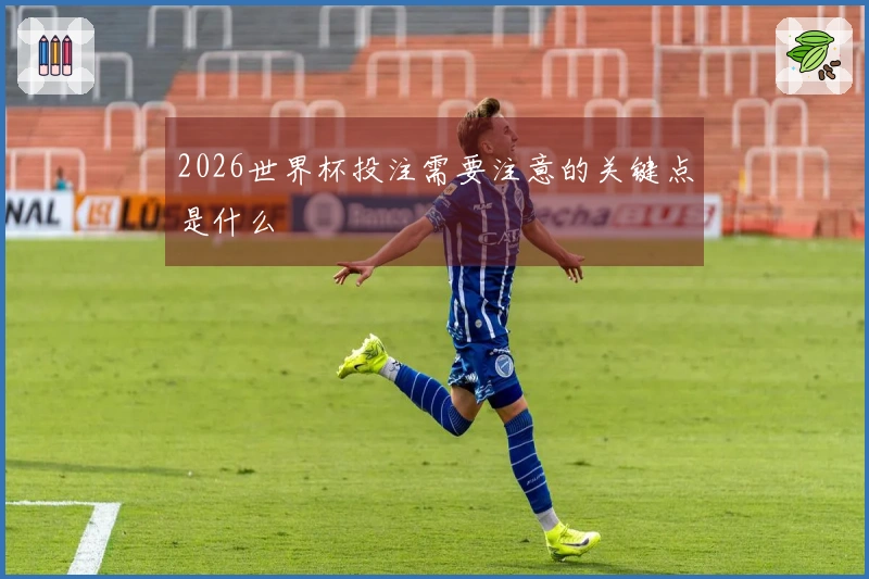 2026世界杯投注需要注意的关键点是什么