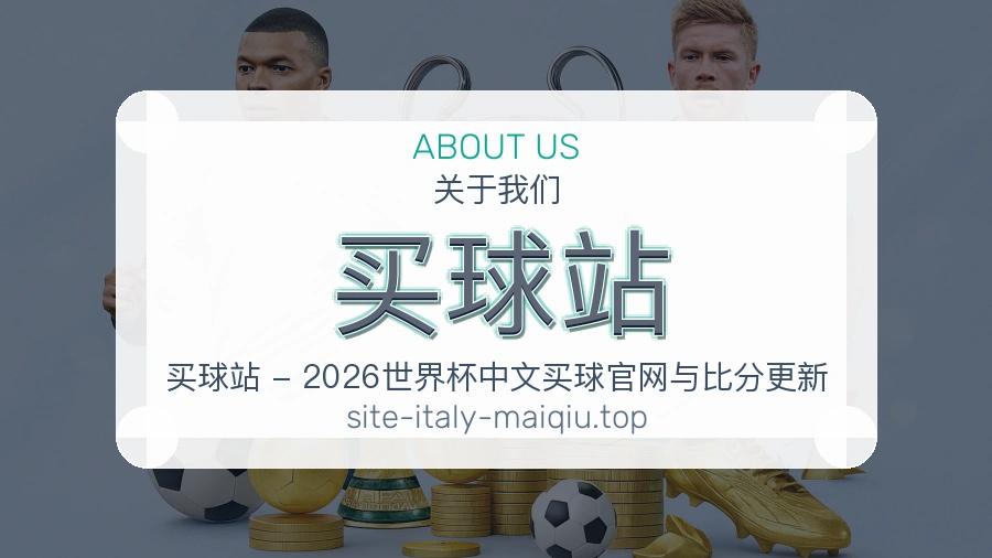 关于 买球站 团队与服务
